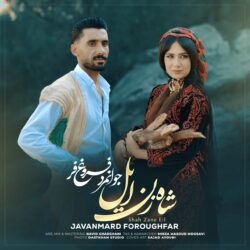 جوانمرد فروغ فر شاه زن ایل